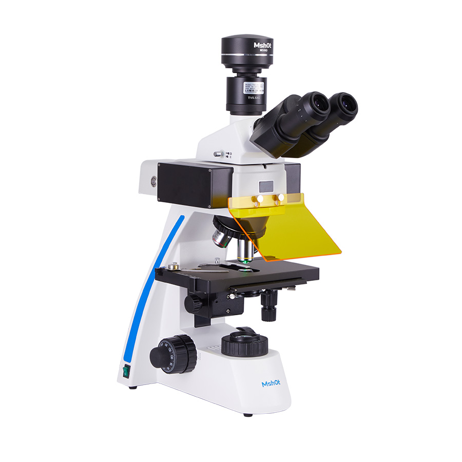 正置熒光顯微鏡MF31